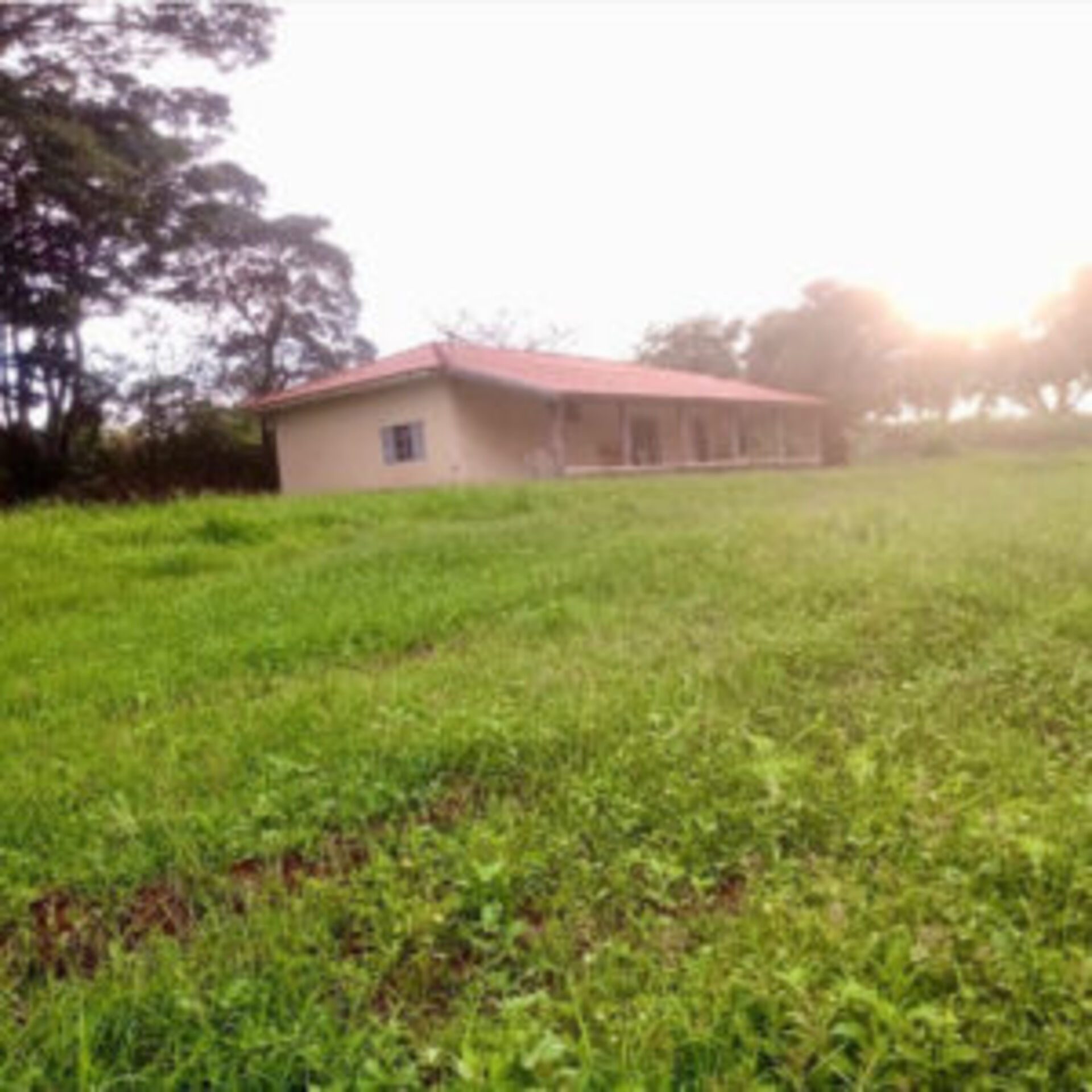 Sítio de 2.5 Alqueires