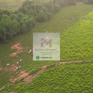 Fazenda