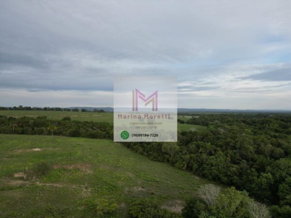 IMG_0264 IMG_0264